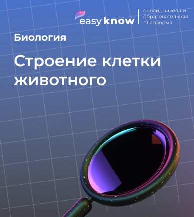 Строение клетки животного