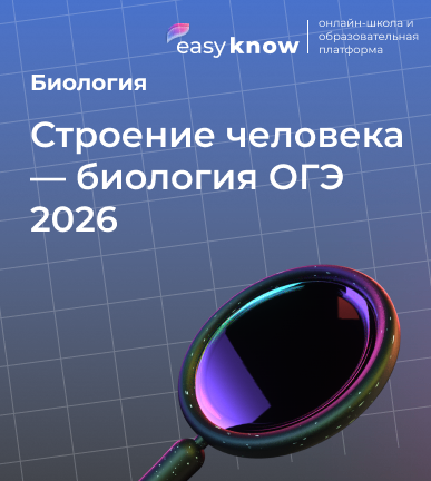 Строение человека — биология ОГЭ 2026: основные системы и важные задания