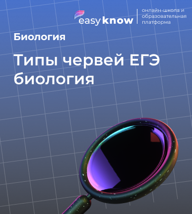 Типы червей ЕГЭ биология: полный разбор с примерами заданий