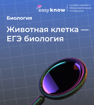 Животная клетка — ЕГЭ биология