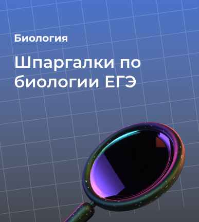 Шпаргалки по биологии ЕГЭ: структура, темы и советы по подготовке