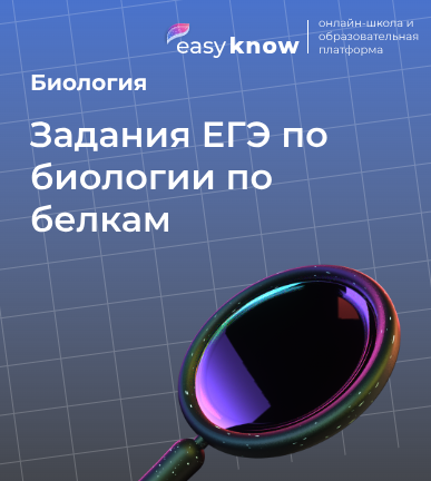 Задания ЕГЭ по биологии по белкам: биосинтез и структура для экзамена 2026