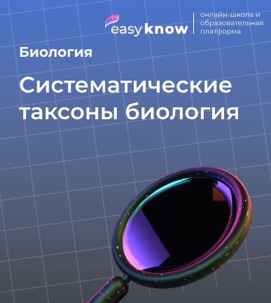 Систематические таксоны биология ОГЭ: таблица, последовательность и как запомнить