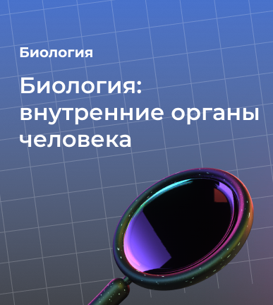 Биология: внутренние органы человека