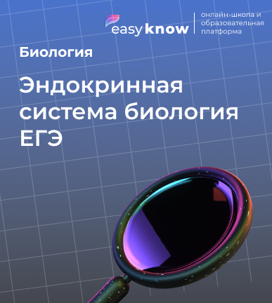 Эндокринная система биология ЕГЭ: теория и задания 2026