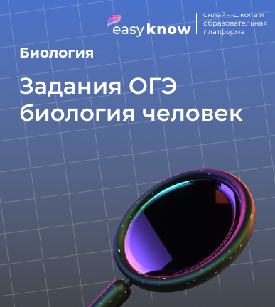 Задания ОГЭ биология человек: как устроены кожа, кости и нервная система