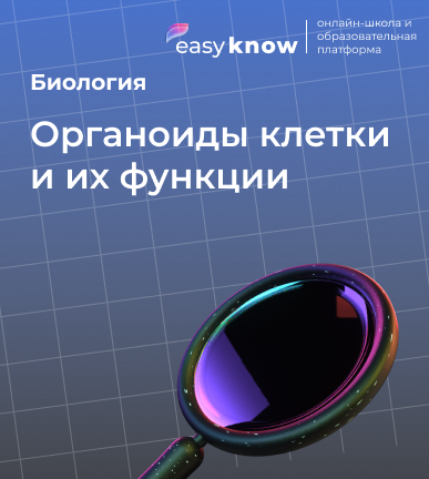 Органоиды клетки и их функции — ЕГЭ биология