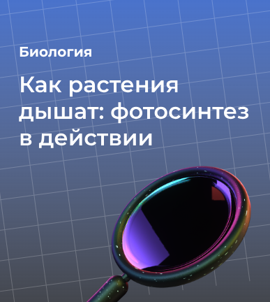 Как растения дышат: фотосинтез в действии