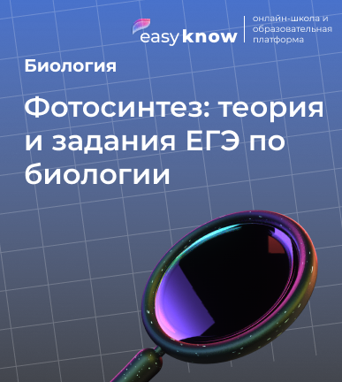 Фотосинтез: теория и задания ЕГЭ по биологии