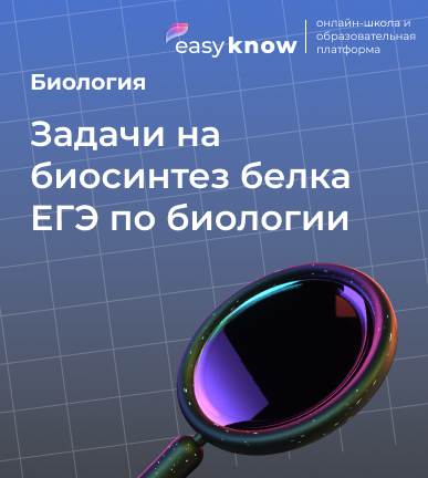 Задачи на биосинтез белка ЕГЭ по биологии