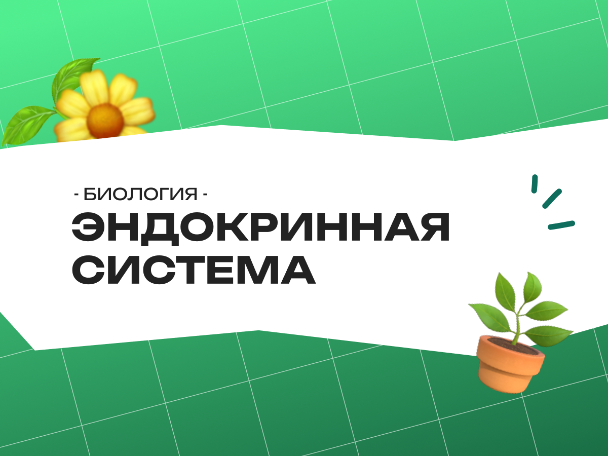 Эндокринная система биология ЕГЭ: теория и задания 2026