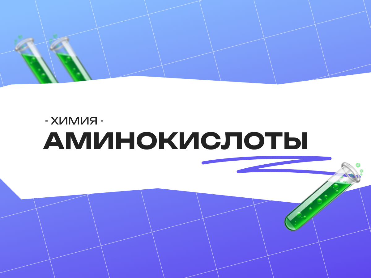 Аминокислоты ЕГЭ химия