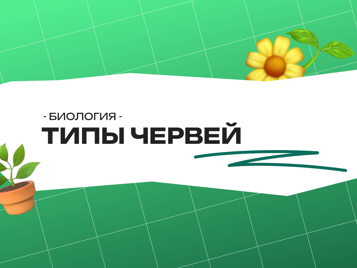 Типы червей ЕГЭ биология: полный разбор с примерами заданий
