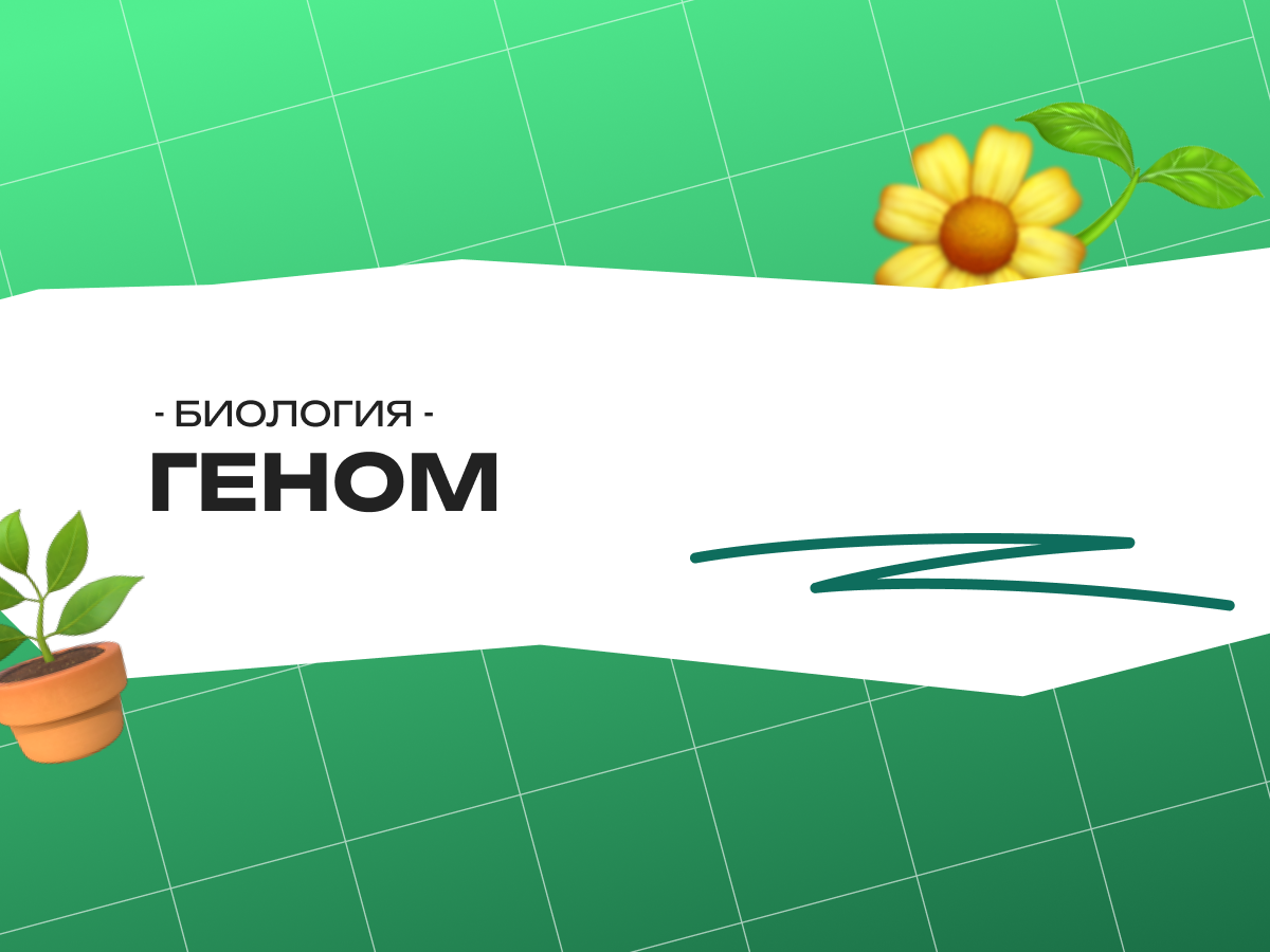 Геном ЕГЭ биология