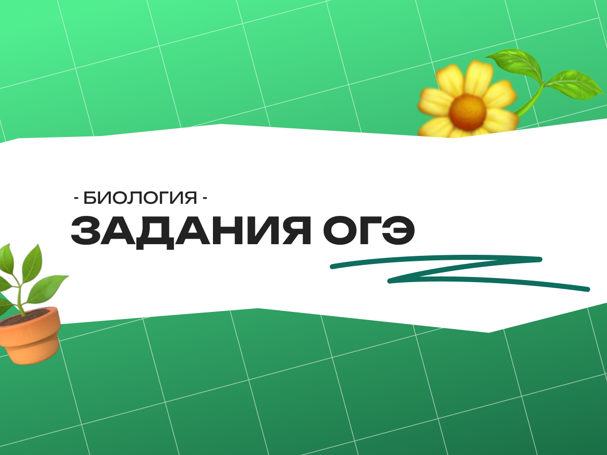 Задания ОГЭ биология человек: как устроены кожа, кости и нервная система