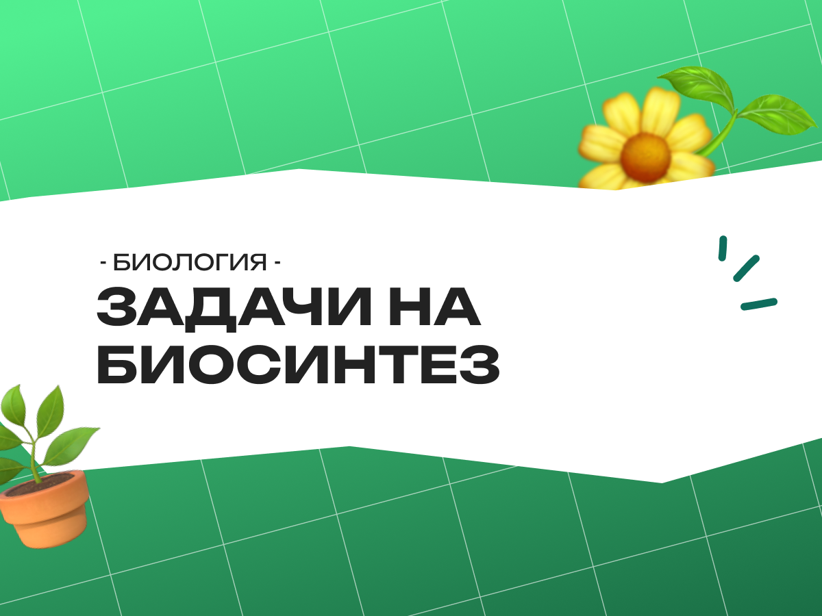 Задачи на биосинтез белка ЕГЭ по биологии