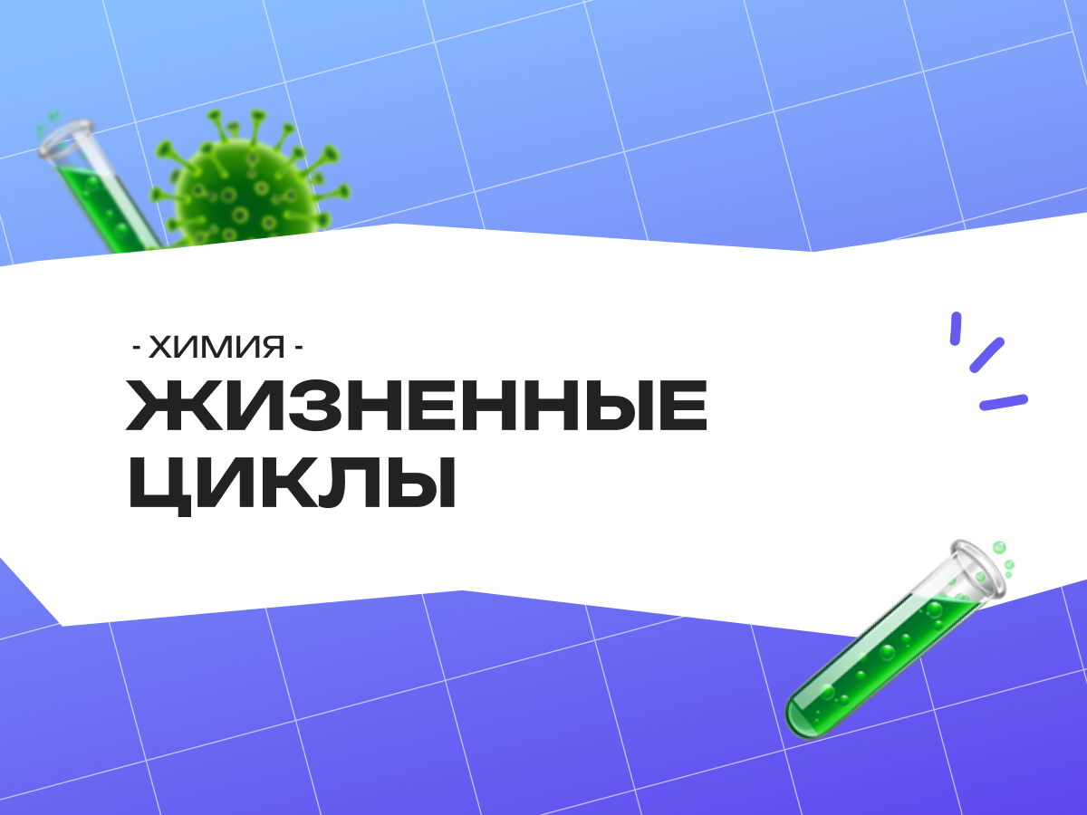 Жизненные циклы растений ЕГЭ биология задания: циклы папоротника, хламидомонады и голосеменных