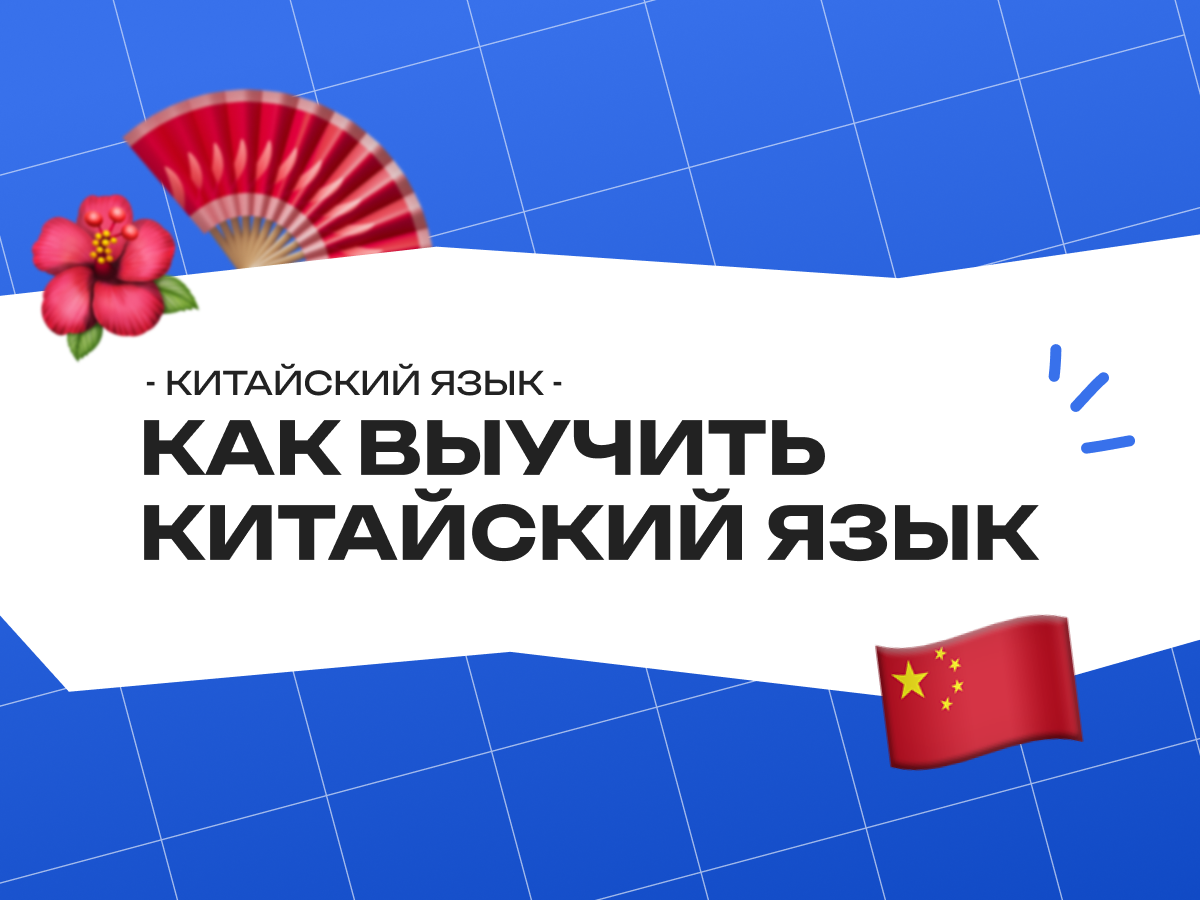 Как выучить китайский язык с нуля: лайфхаки для школьников и подготовка к экзаменам
