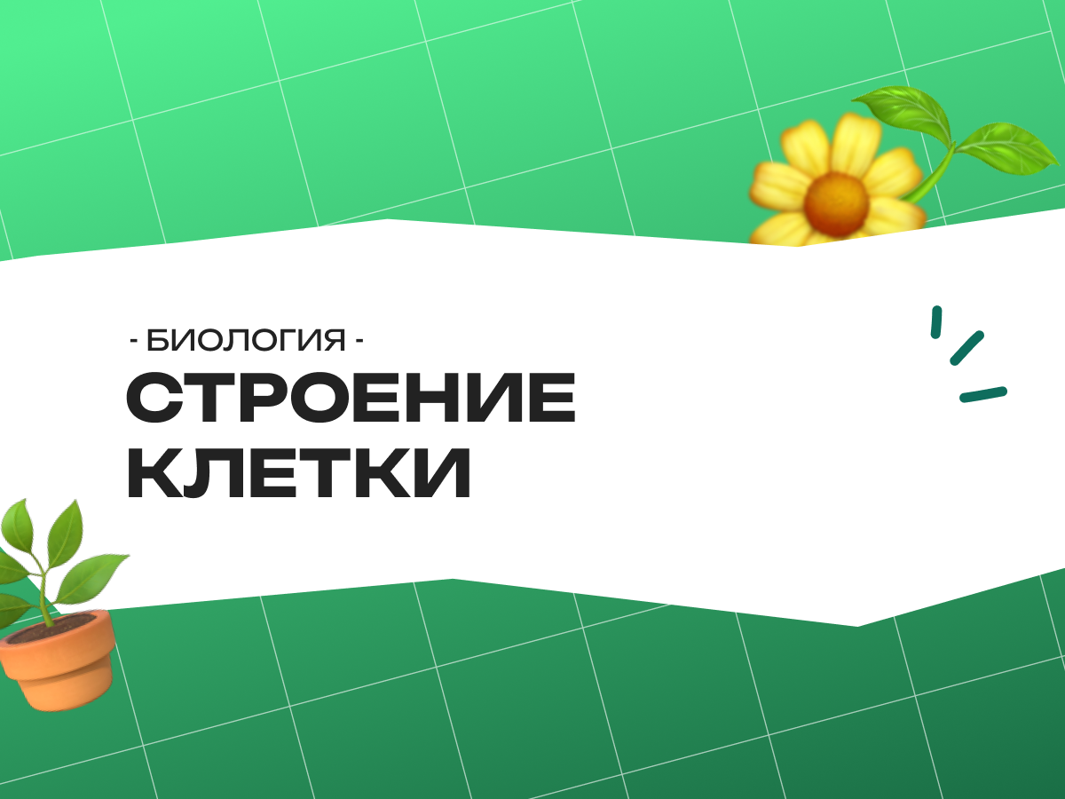 Строение клетки животного