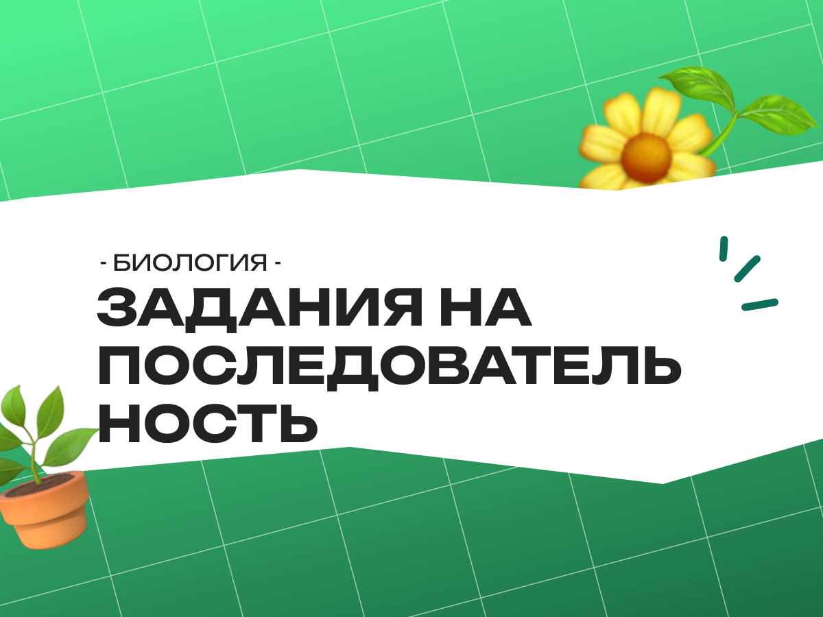 Задания на последовательность, фотосинтез, репликация ДНК, транскрипция и вдох