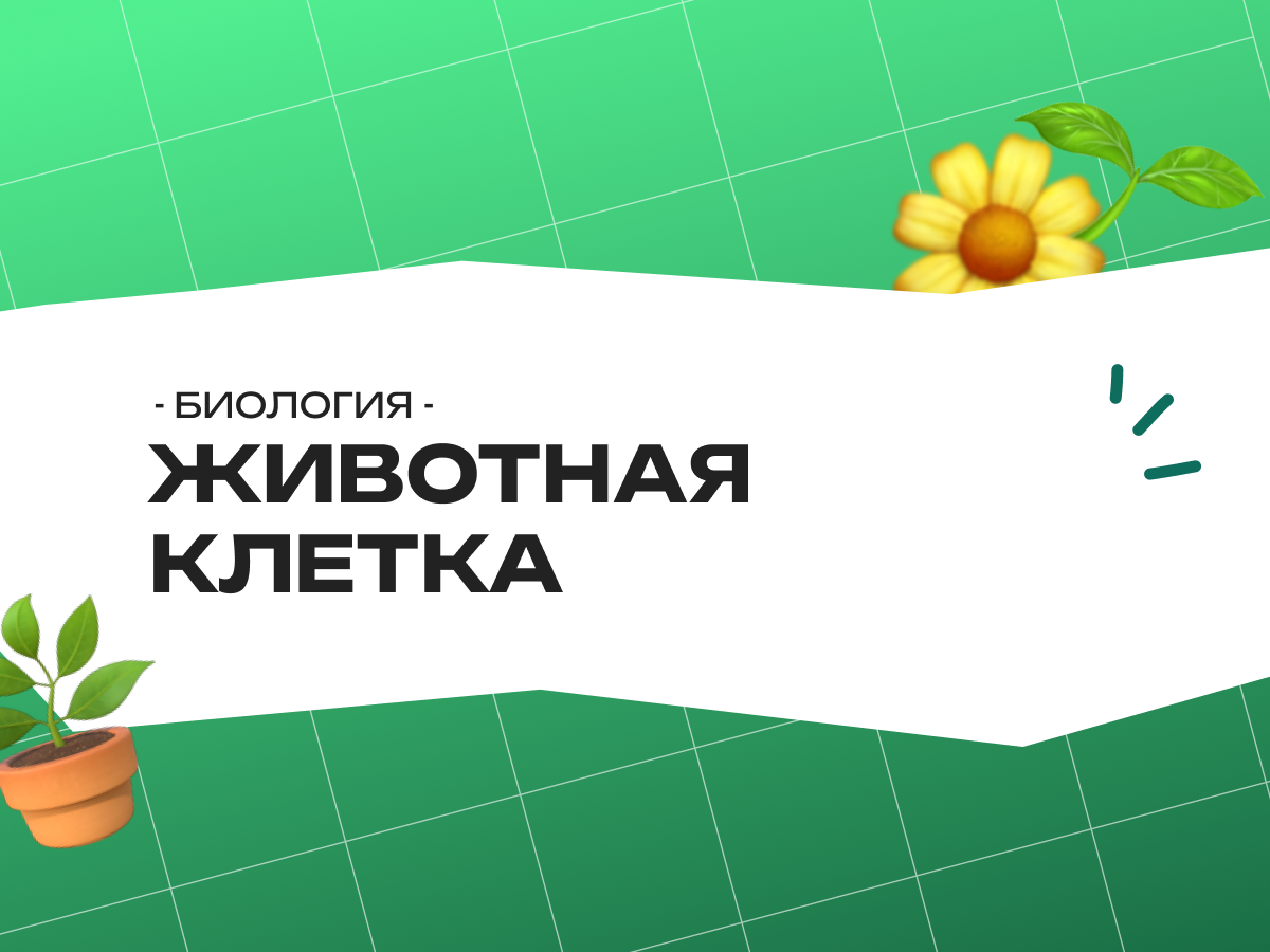 Животная клетка — ЕГЭ биология