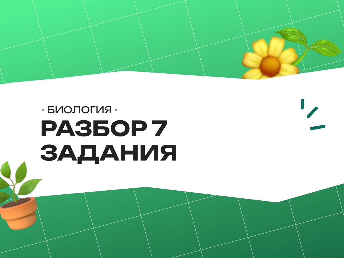Разбор 7 задания ОГЭ по биологии 2026: теория, типы формулировок, алгоритм решения