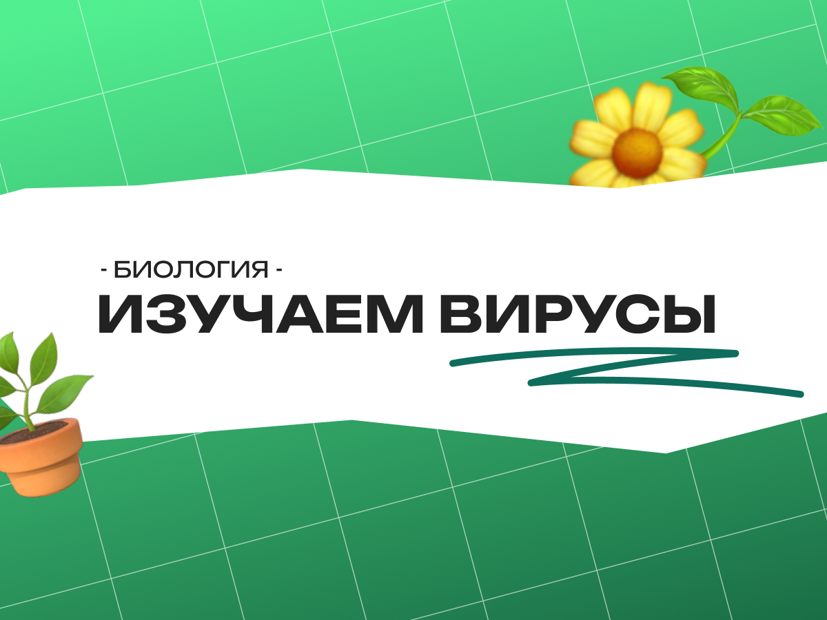 Изучаем вирусы: почему они эволюционируют и как мы с ними боремся