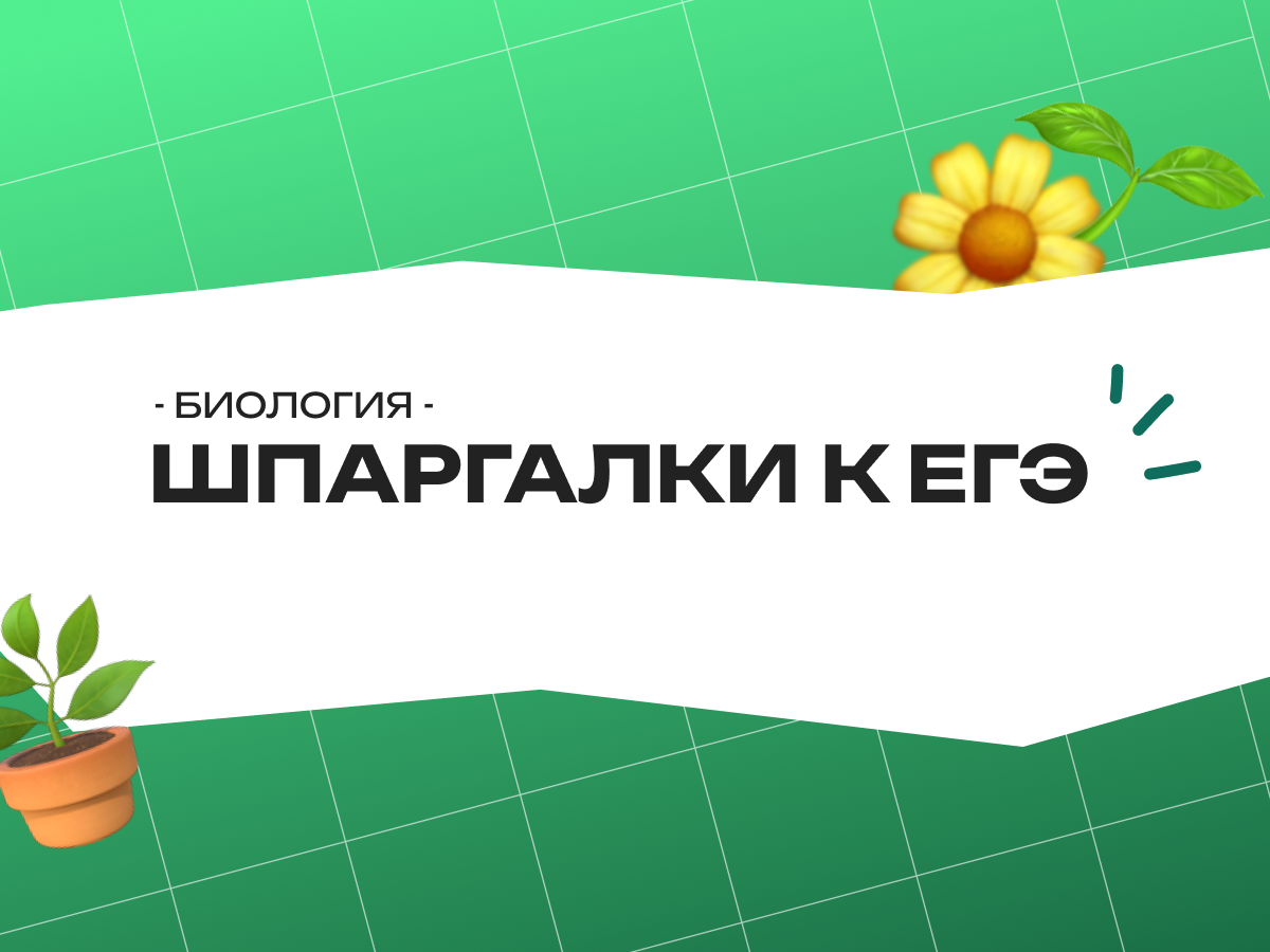 Шпаргалки по биологии ЕГЭ: структура, темы и советы по подготовке