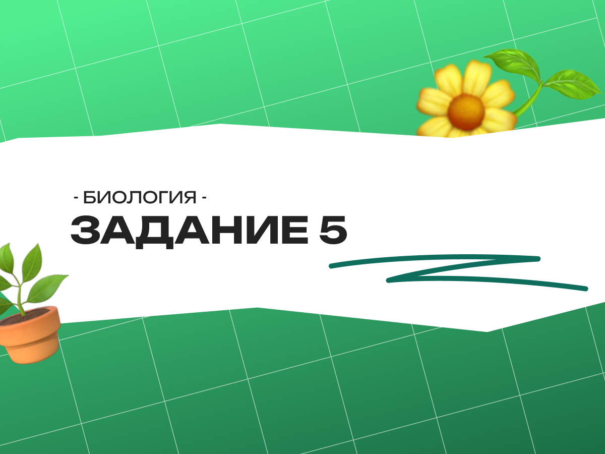 Задание 5 в ОГЭ по биологии 2026