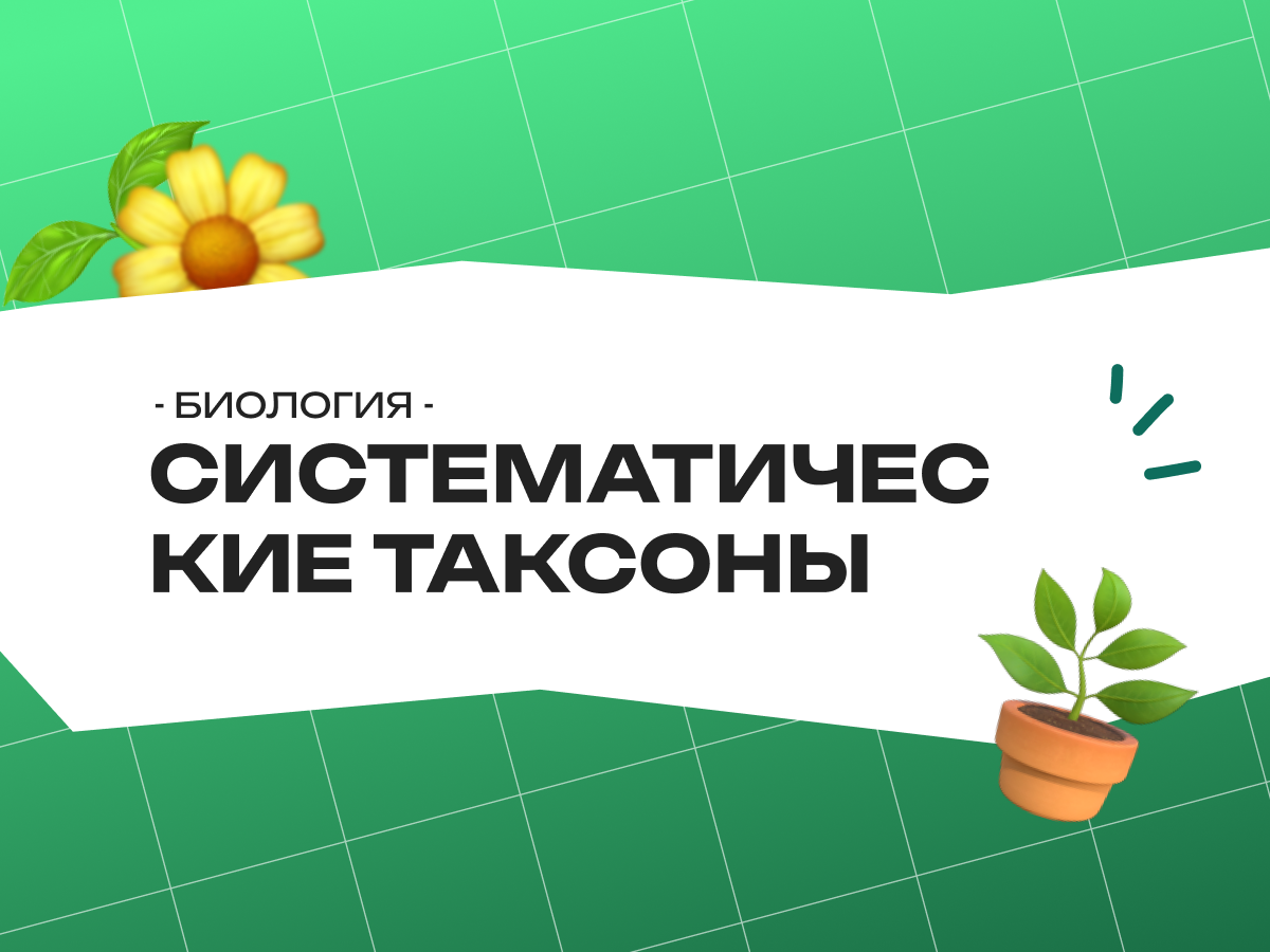 Систематические таксоны биология ОГЭ: таблица, последовательность и как запомнить