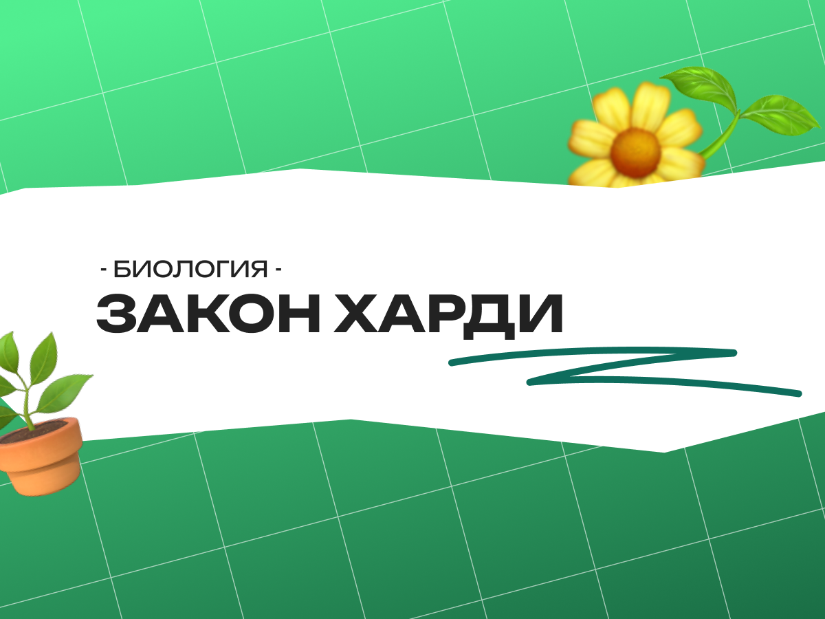 Закон Харди – Вайнберга на ЕГЭ по биологии