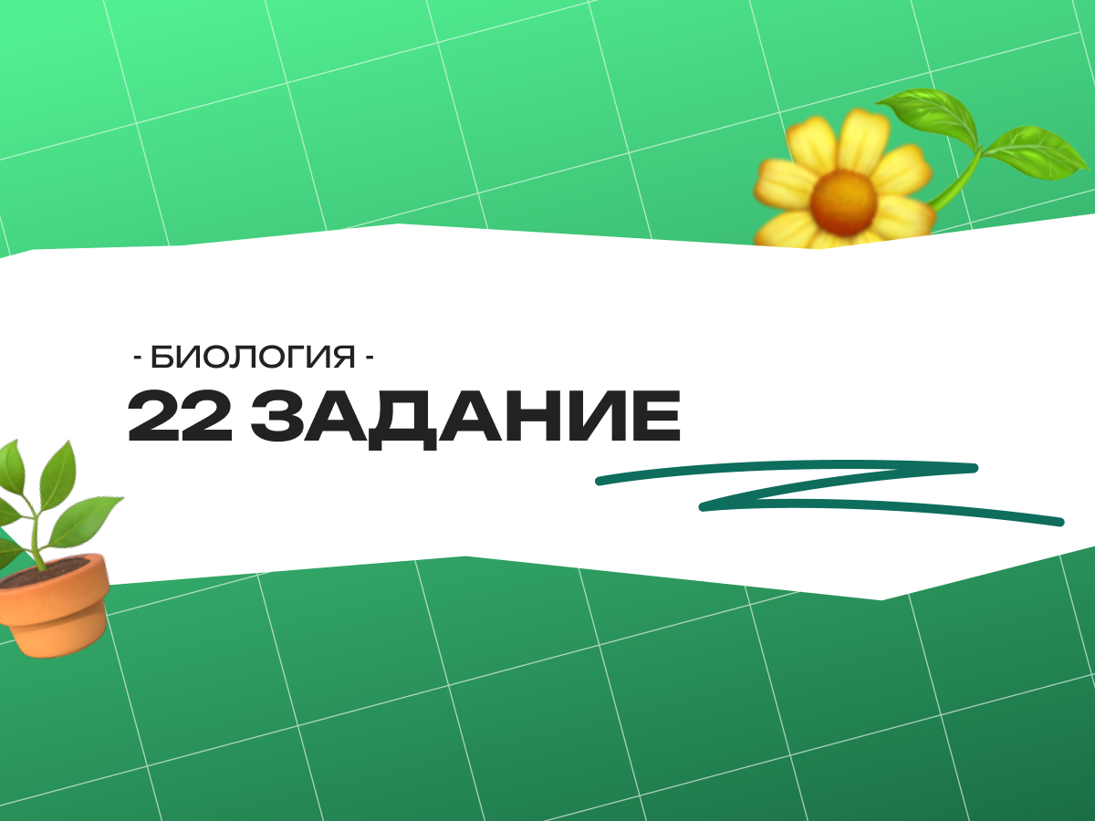 22 задание ОГЭ биология 2026: теория, все типы и разбор