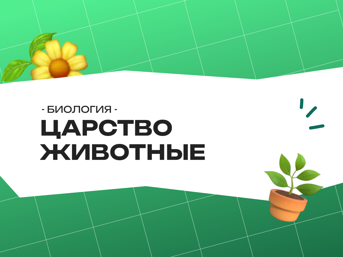 Царство Животные: теория и задания ОГЭ по биологии