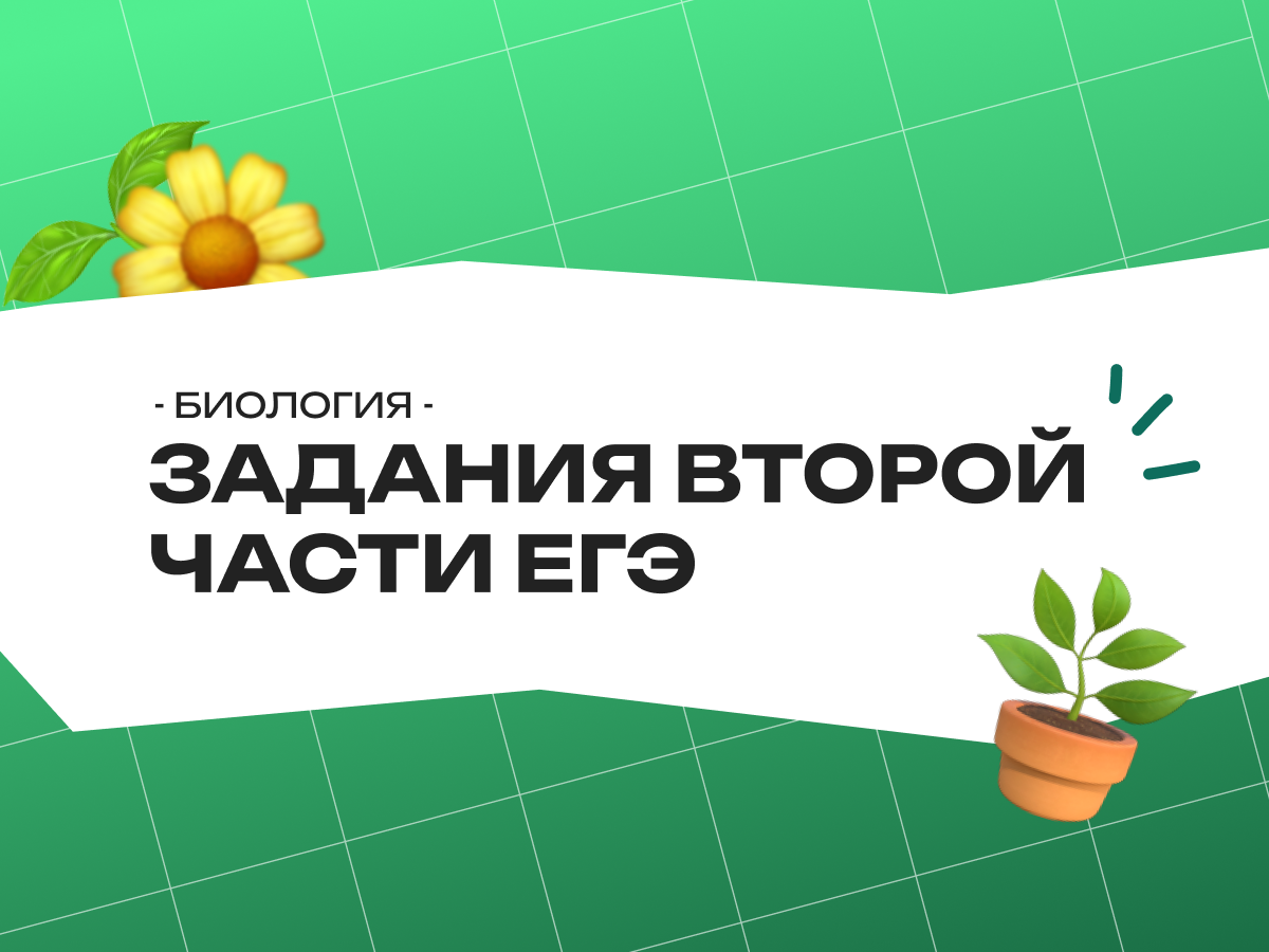 Задания второй части ЕГЭ по биологии 2025–2026