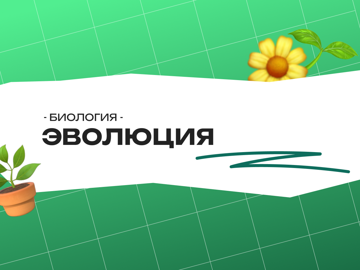 Эволюция: что реально говорил Дарвин