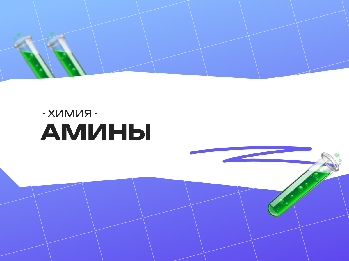 Амины ЕГЭ химия 2026: теория, свойства и цепочки превращений